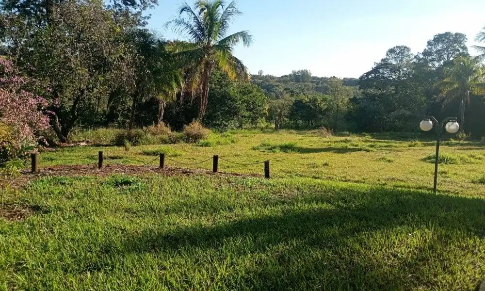 Imagem 77 da Fazenda Porto Feliz