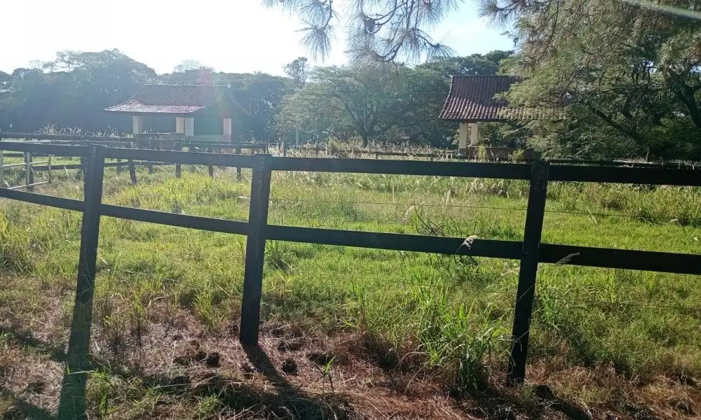 Imagem 82 da Fazenda Porto Feliz