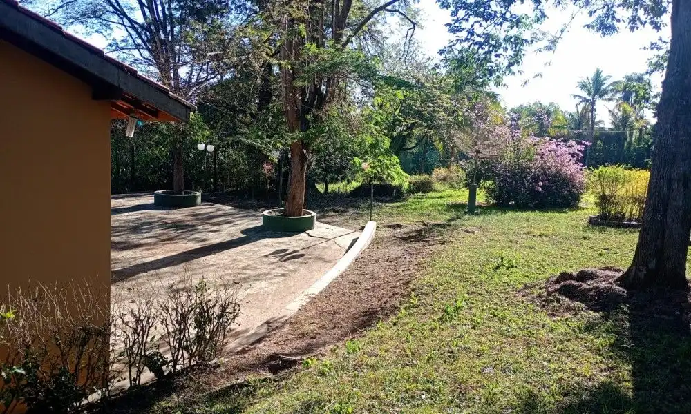 Imagem 85 da Fazenda Porto Feliz