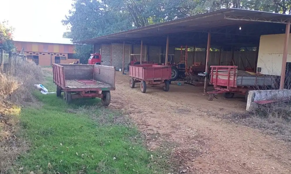 Imagem 86 da Fazenda Porto Feliz