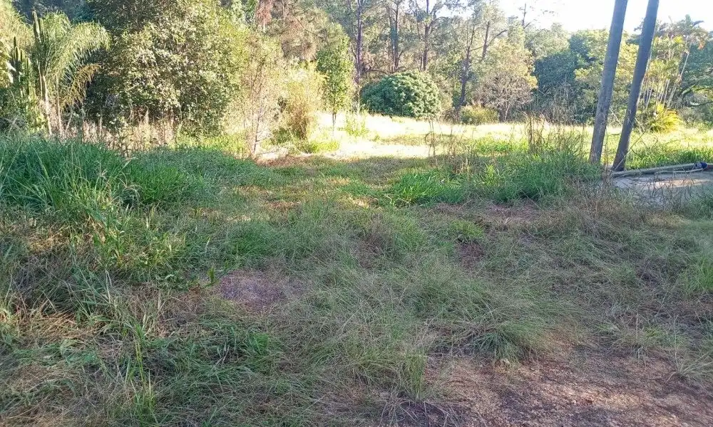 Imagem 88 da Fazenda Porto Feliz