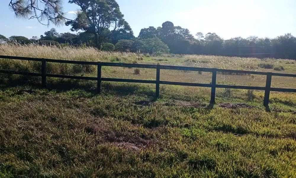 Imagem 9 da Fazenda Porto Feliz