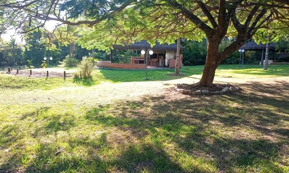 Imagem 90 da Fazenda Porto Feliz