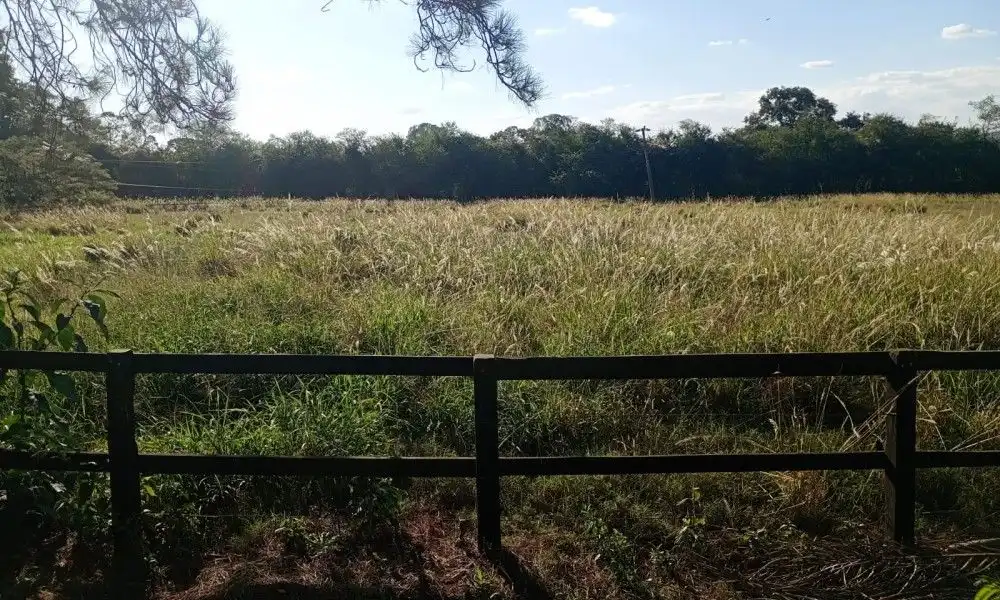 Imagem 92 da Fazenda Porto Feliz