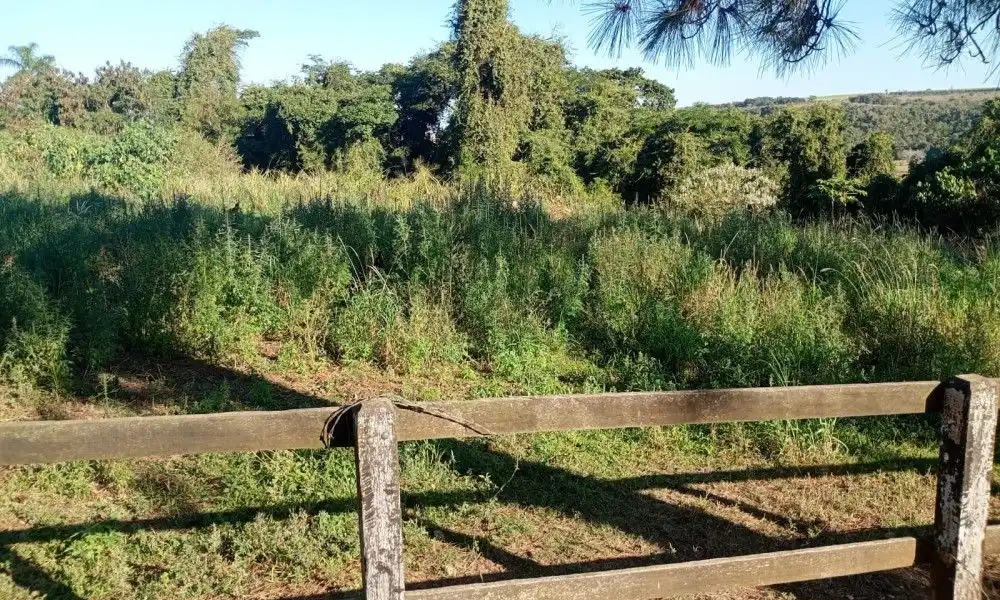 Imagem 94 da Fazenda Porto Feliz