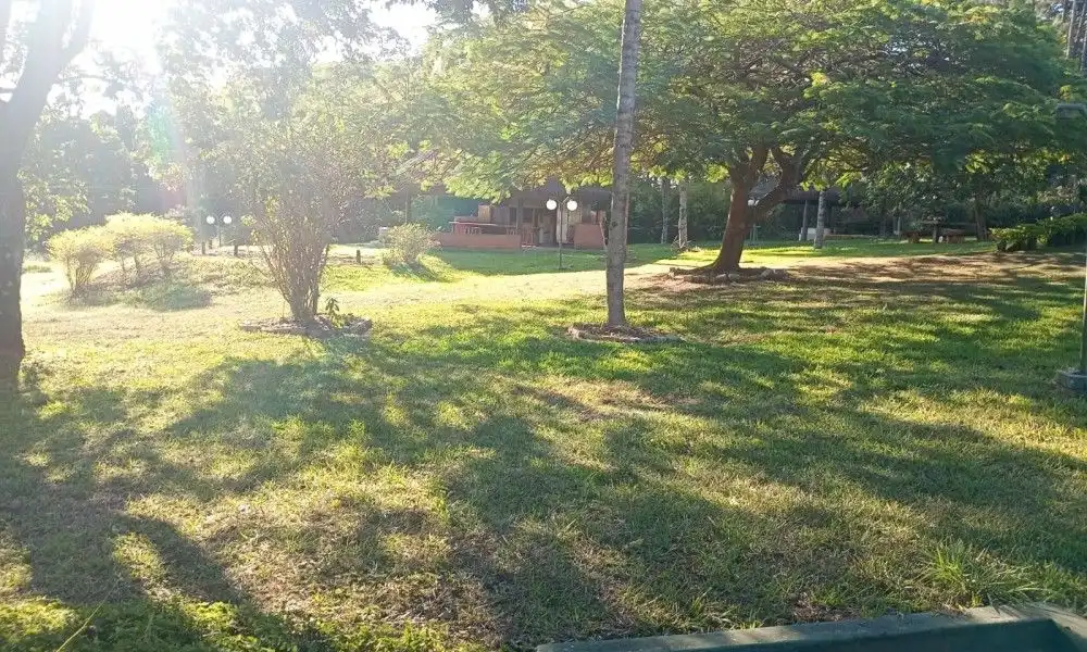 Imagem 96 da Fazenda Porto Feliz