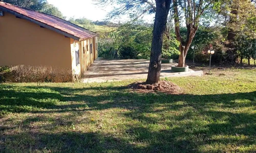 Imagem 98 da Fazenda Porto Feliz