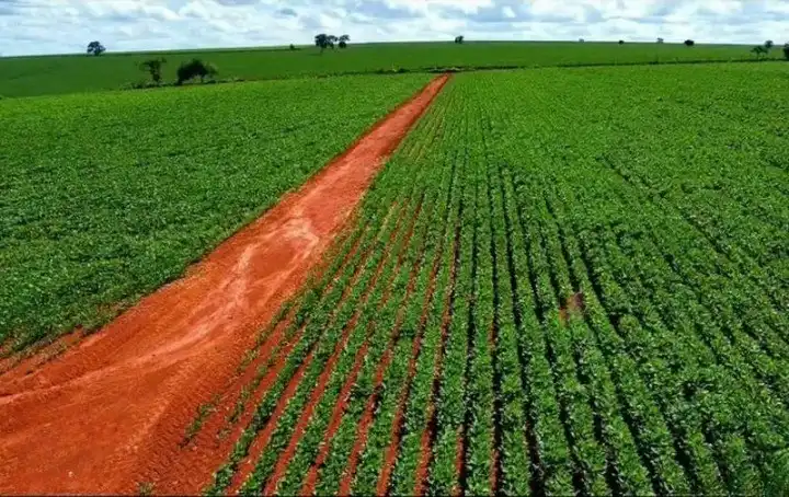 Imagem da Fazenda Tatuí