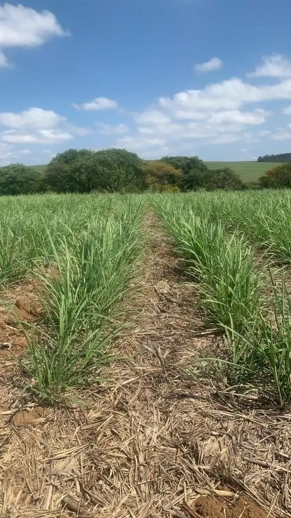 Imagem da Fazenda Tatuí