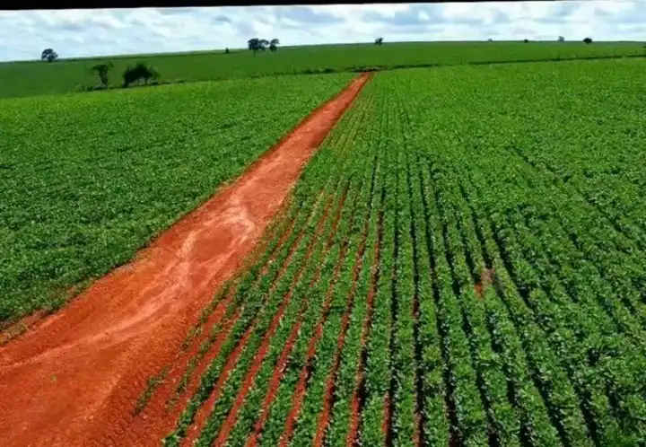 Imagem da Fazenda Tatuí