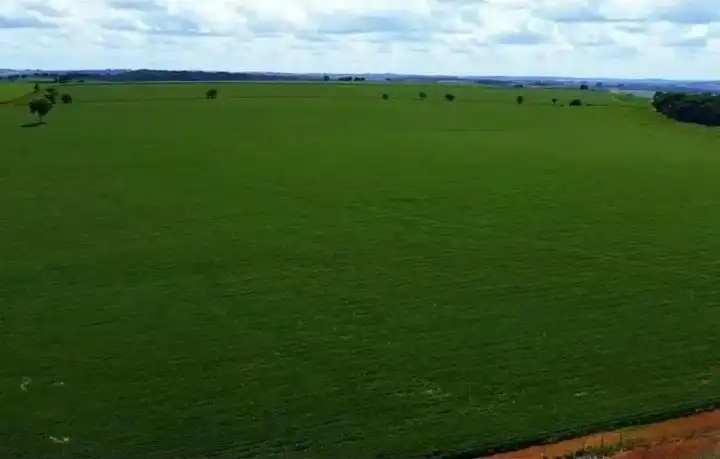 Imagem da Fazenda Tatuí