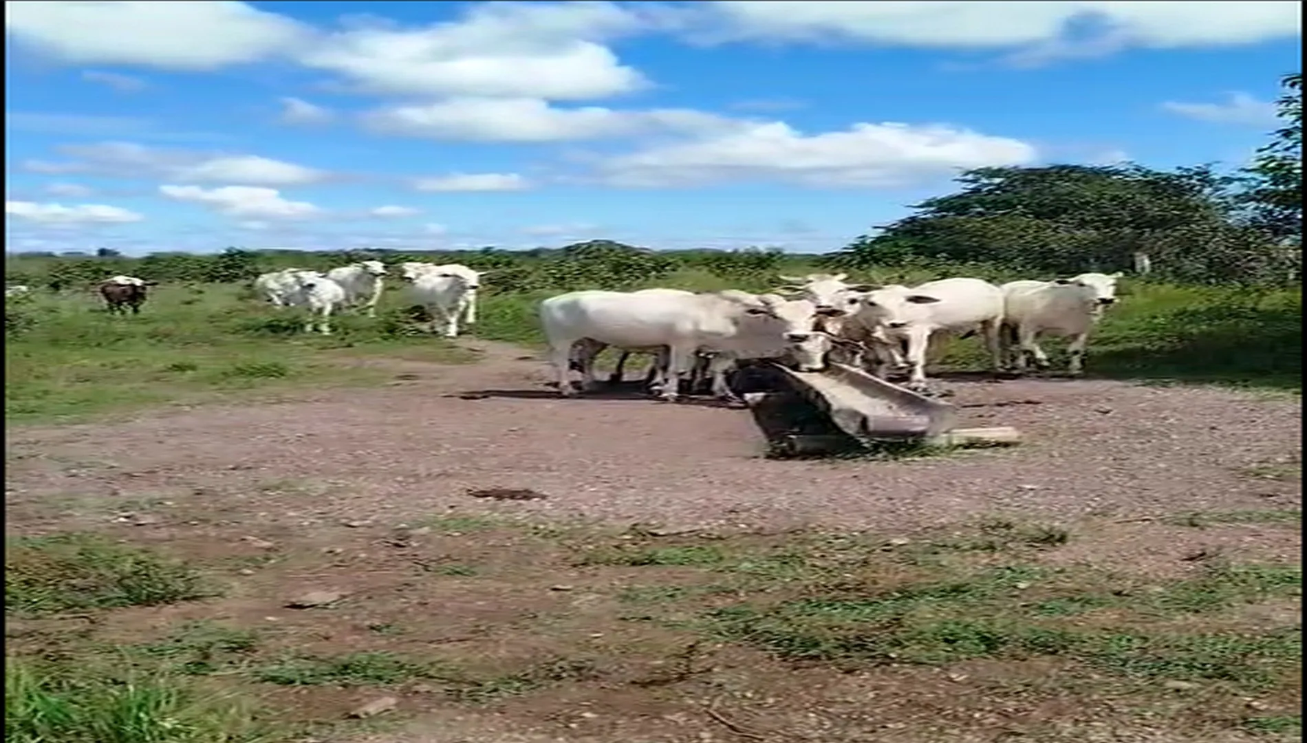 Imagem 4 da Fazenda Tocantins