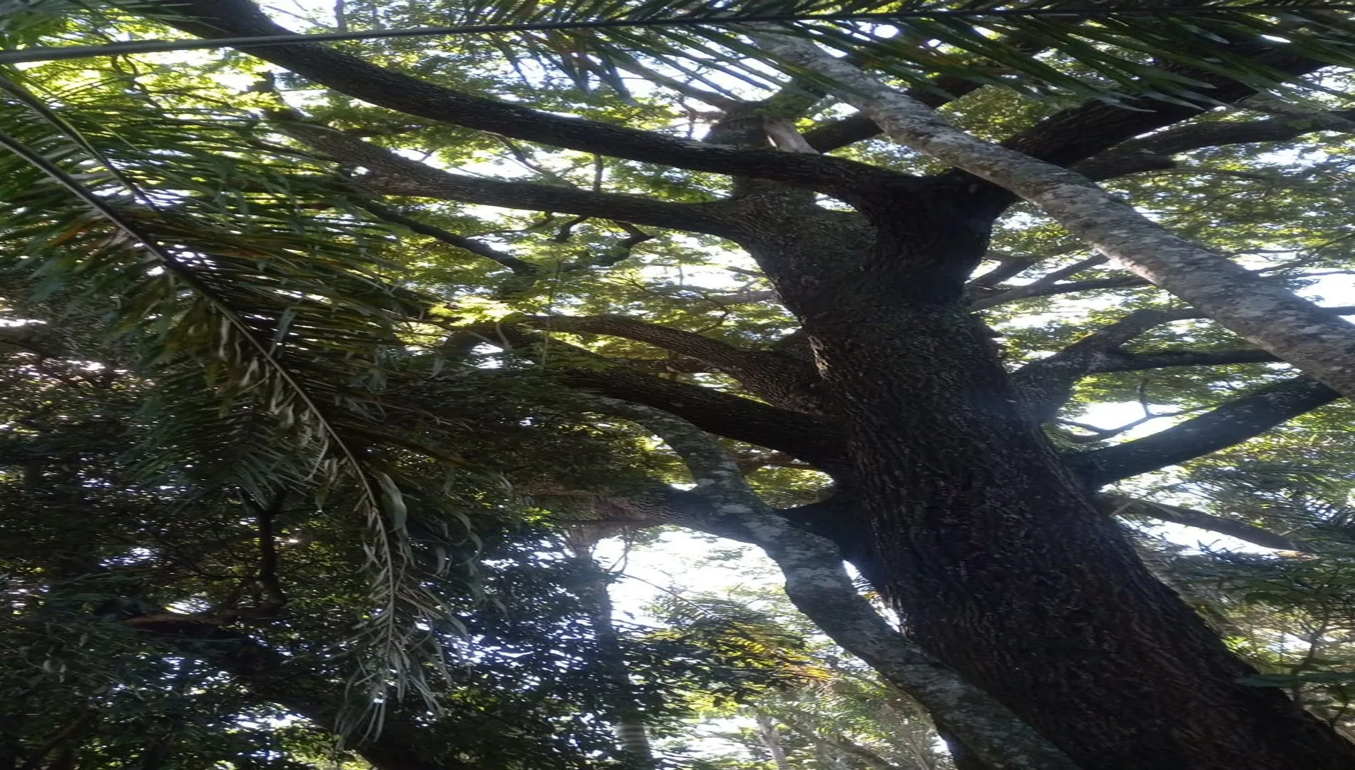 Imagem 38 da Pousada Extrema MG