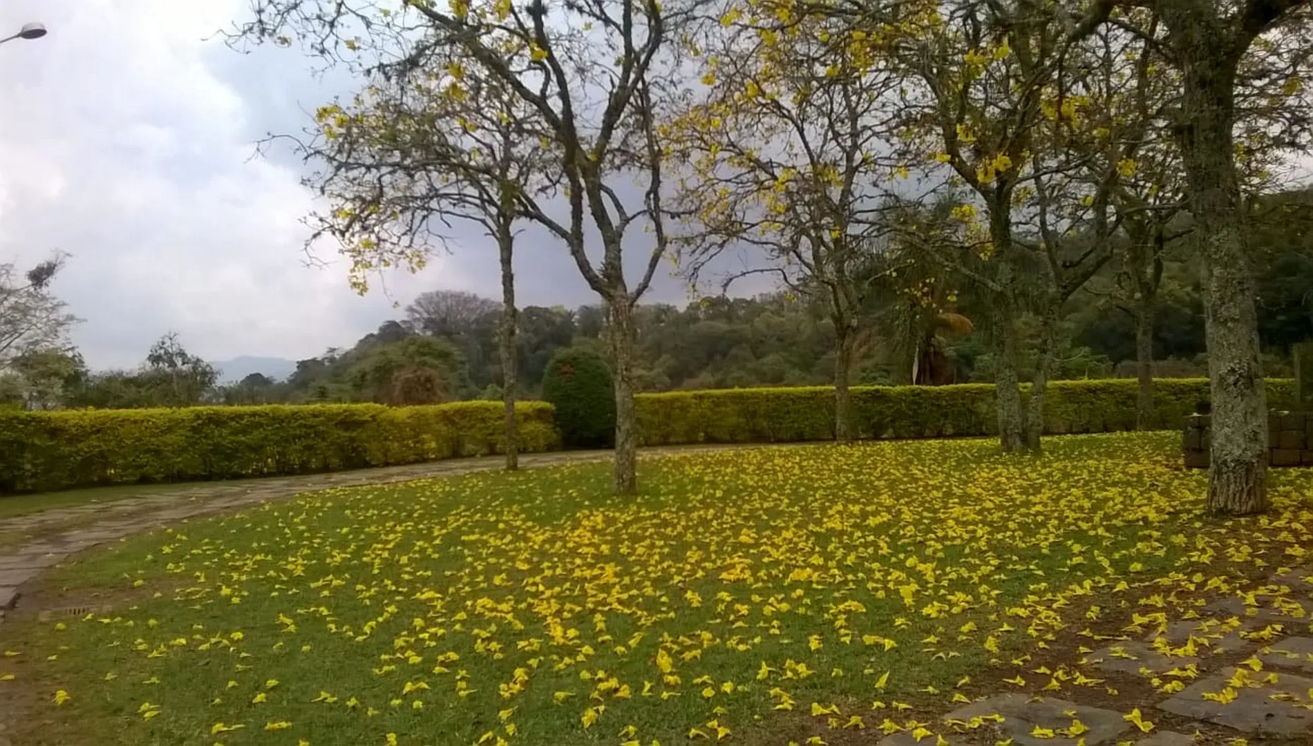 Pousada com Chalés em Extrema MG à venda
