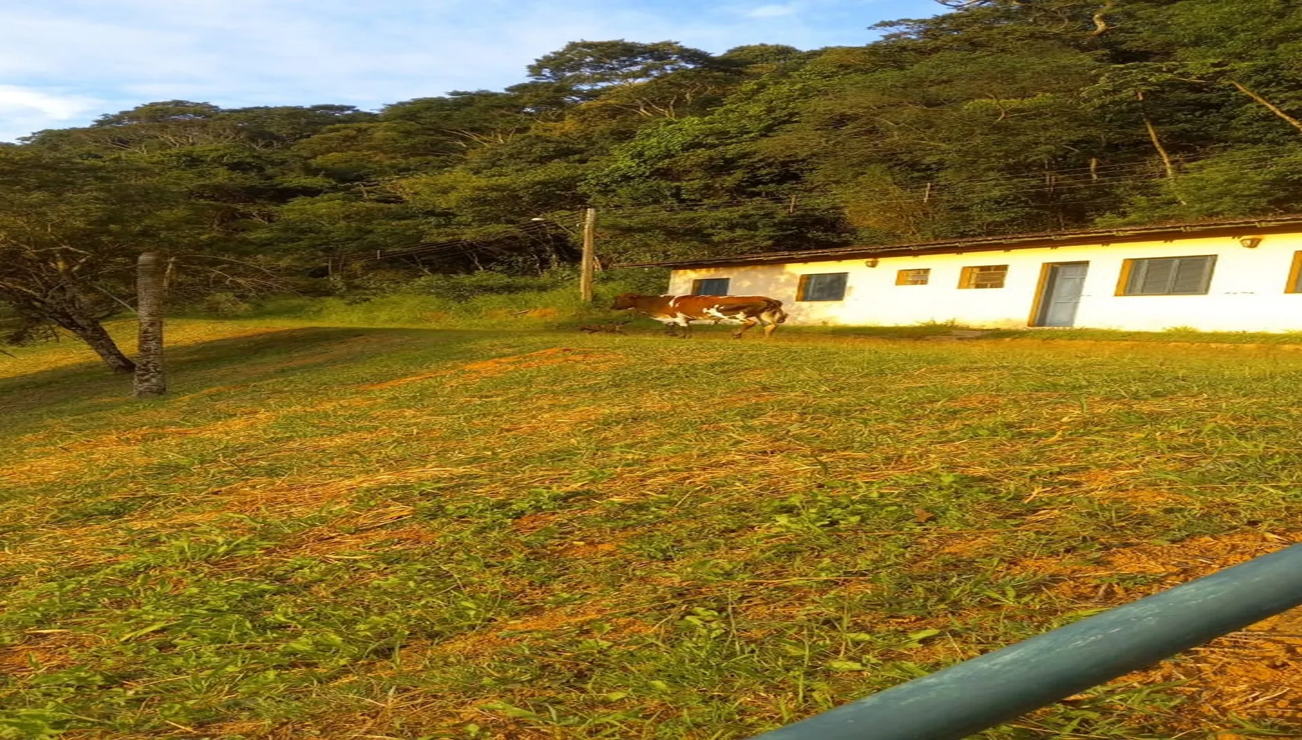 Imagem 40 da Pousada Extrema MG