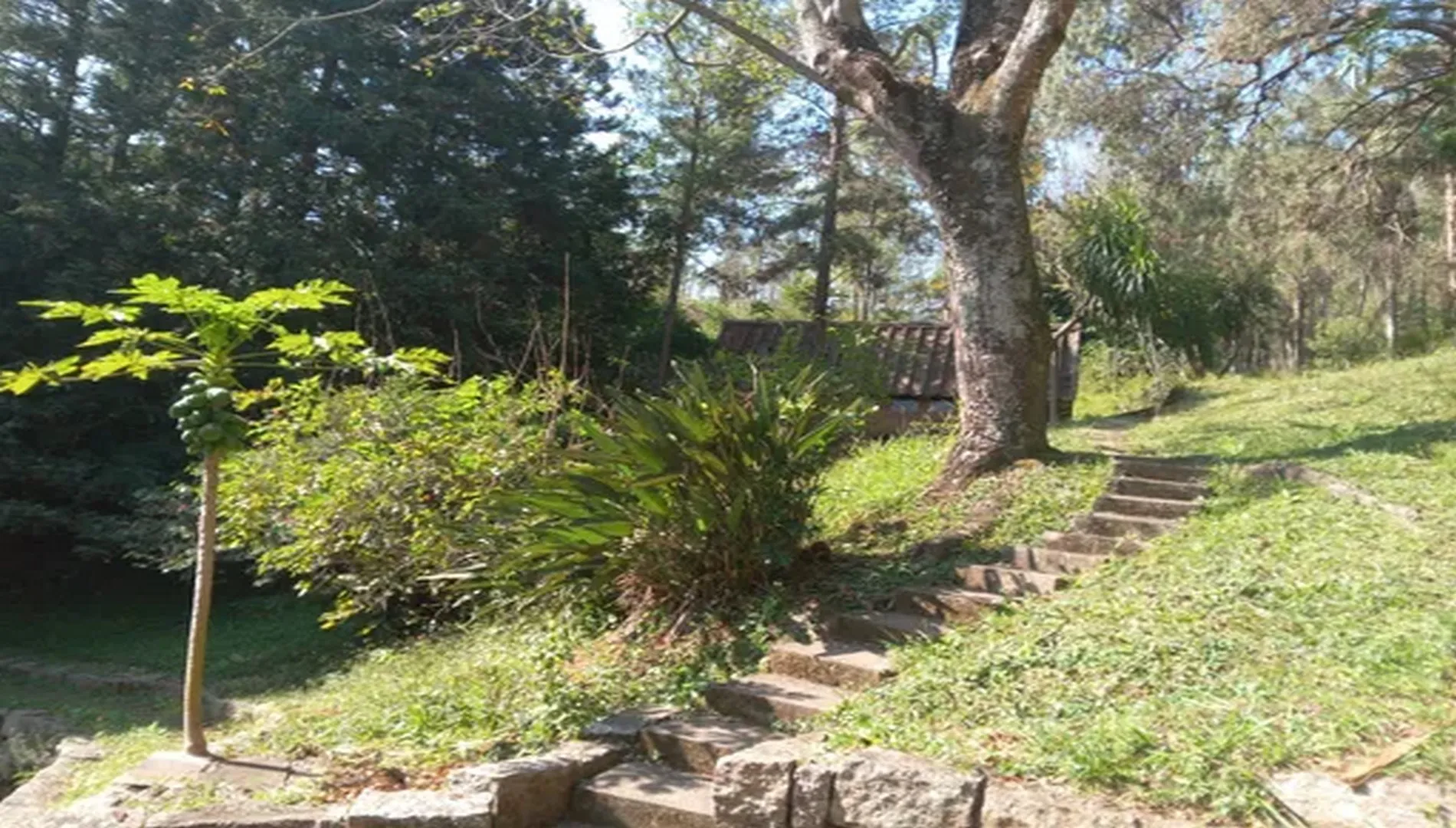 Imagem 10 do Sítio Nádia em Campo Limpo Paulista SP