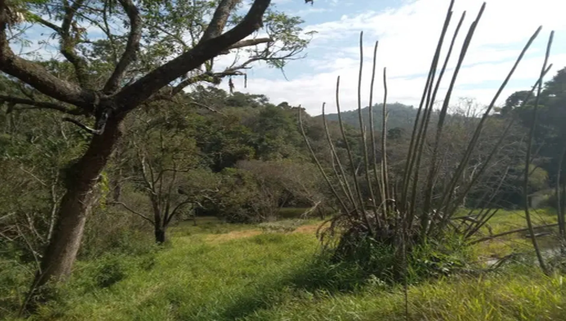 Imagem 12 do Sítio Nádia em Campo Limpo Paulista SP