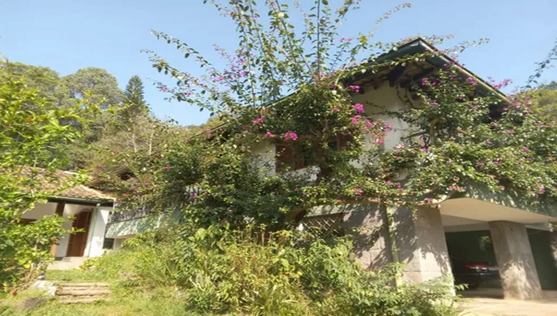 Imagem 19 do Sítio Nádia em Campo Limpo Paulista SP