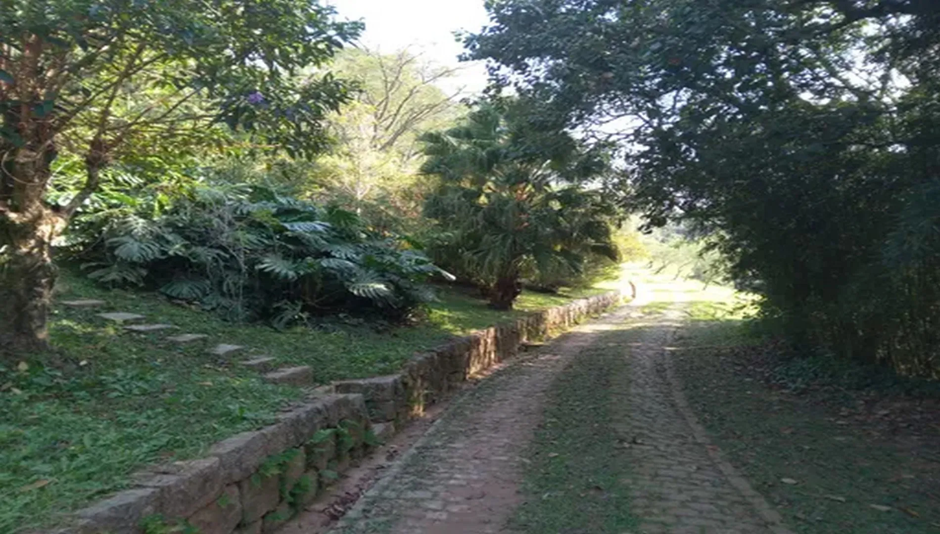 Imagem 20 do Sítio Nádia em Campo Limpo Paulista SP