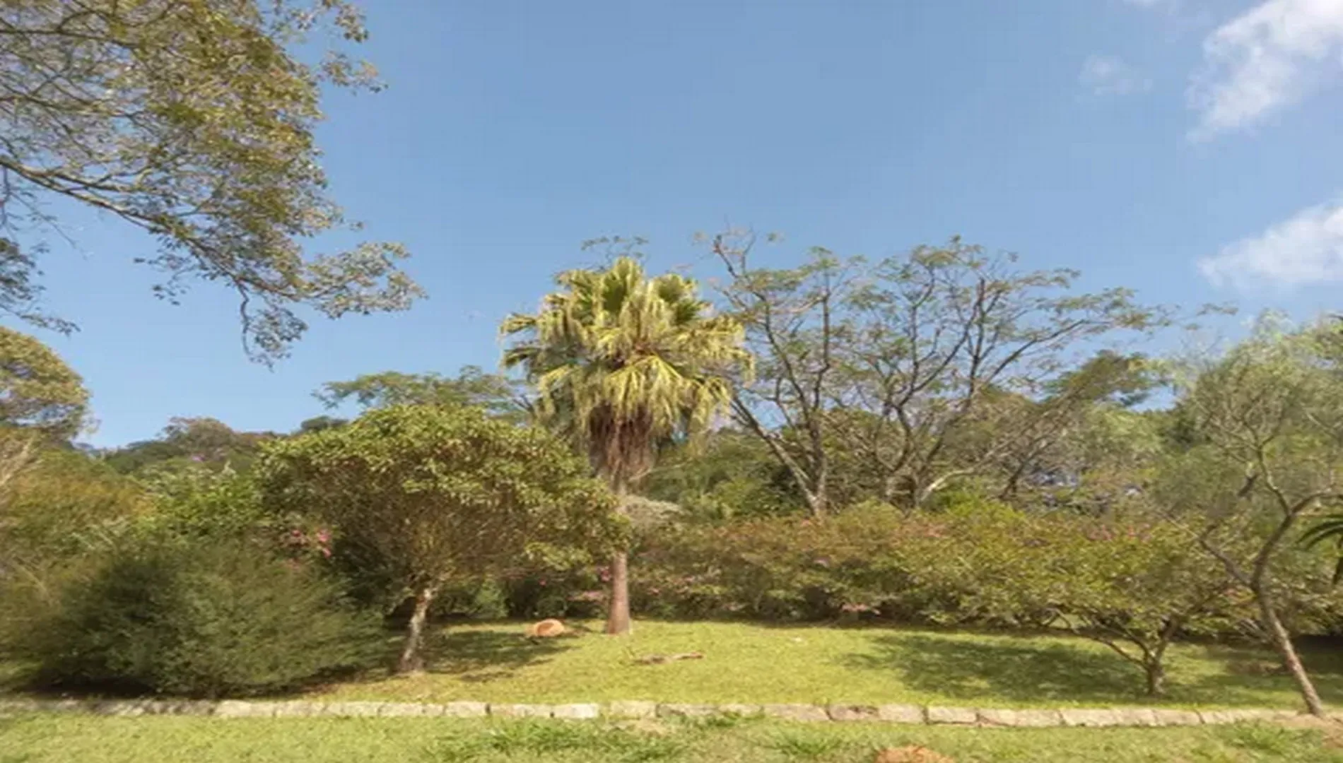 Imagem 21 do Sítio Nádia em Campo Limpo Paulista SP