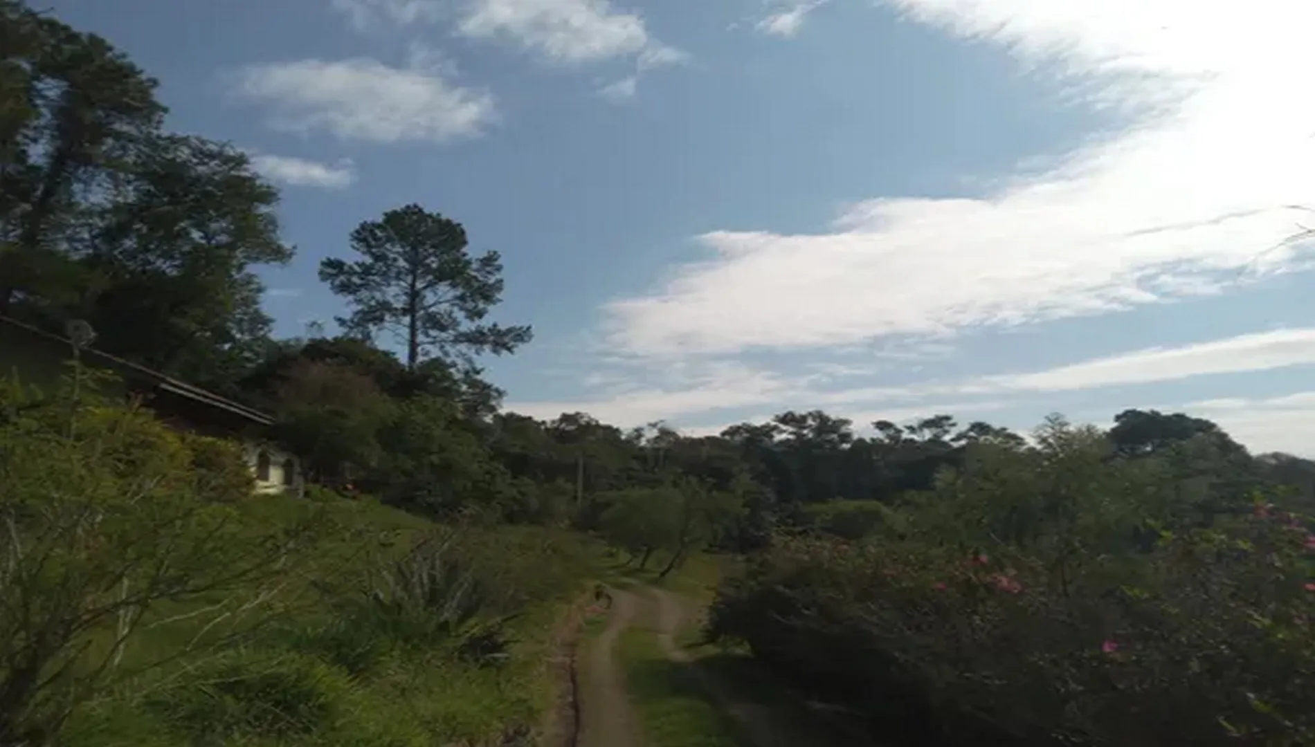 Imagem 22 do Sítio Nádia em Campo Limpo Paulista SP