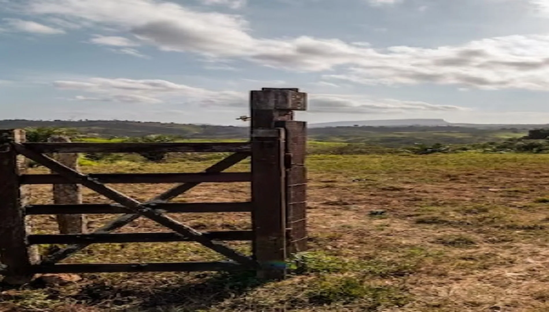 Imagem 24 do Sítio Nádia em Campo Limpo Paulista SP