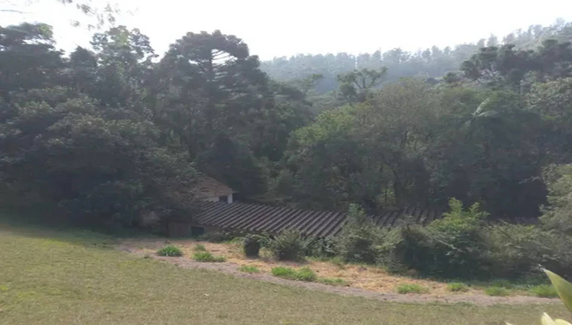 Imagem 25 do Sítio Nádia em Campo Limpo Paulista SP