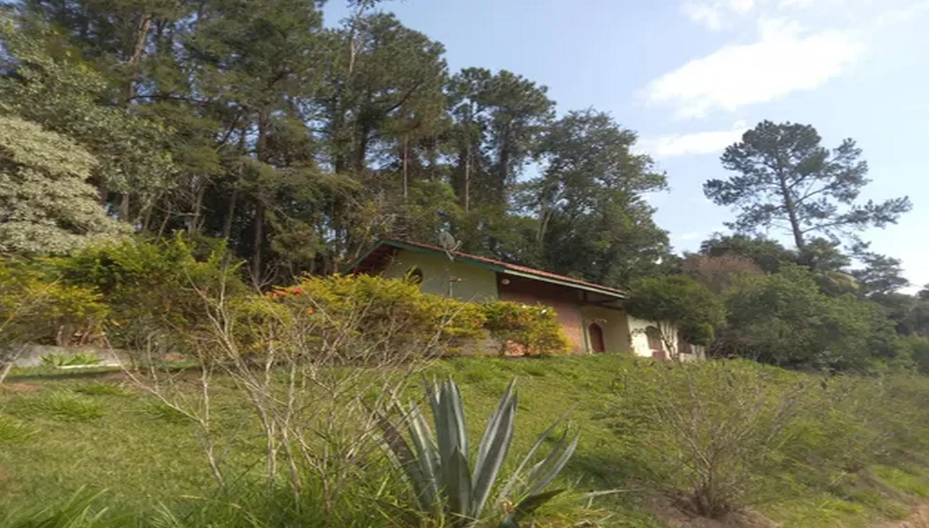 Imagem 27 do Sítio Nádia em Campo Limpo Paulista SP