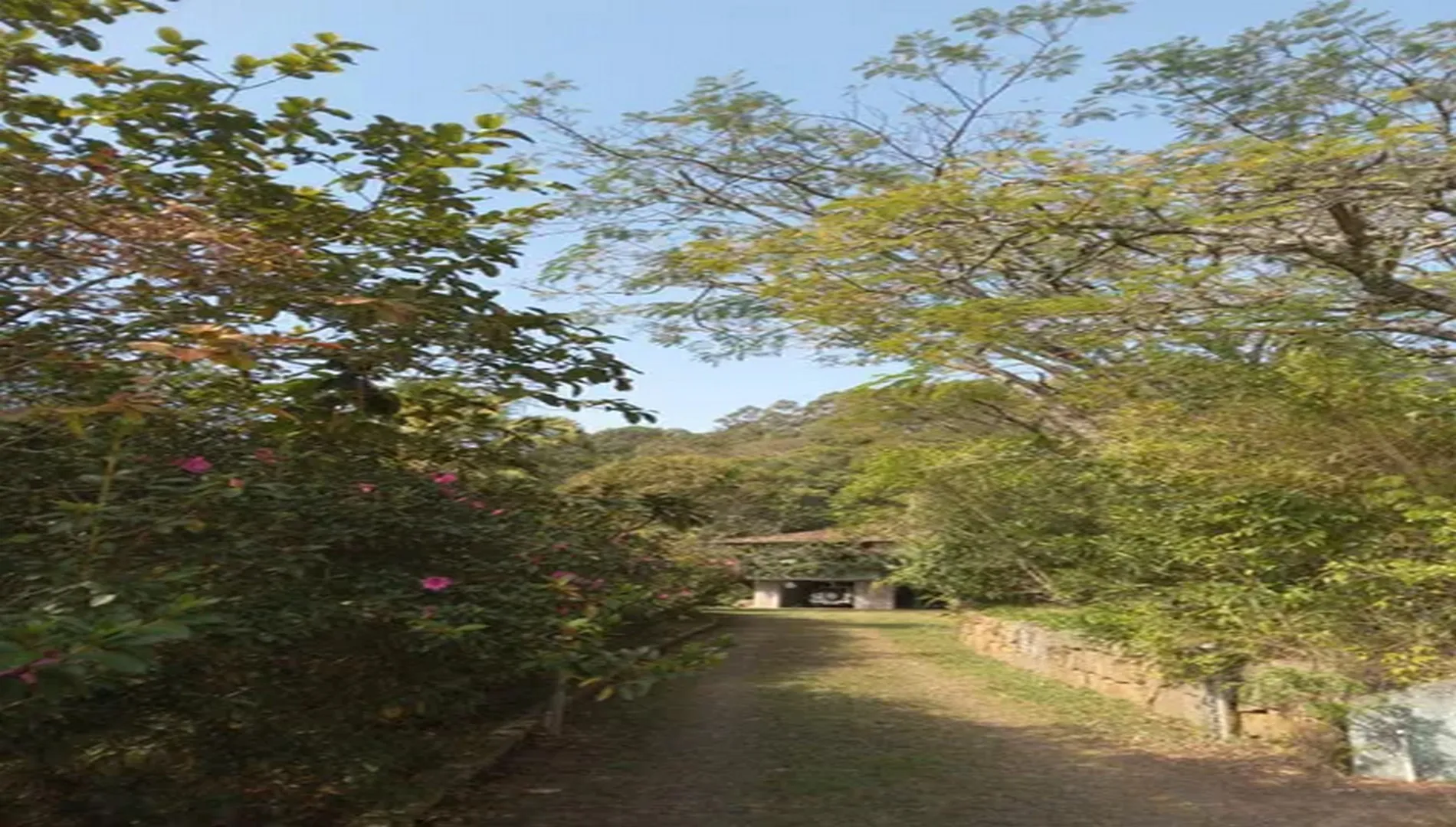 Imagem 29 do Sítio Nádia em Campo Limpo Paulista SP