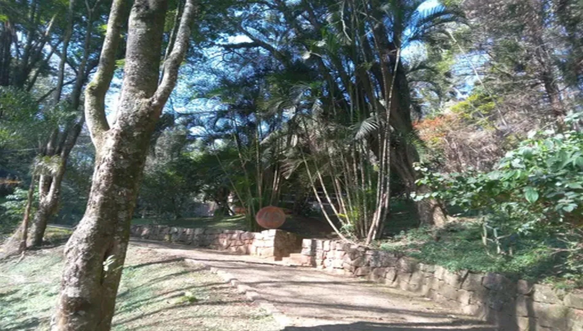 Imagem 41 do Sítio Nádia em Campo Limpo Paulista SP