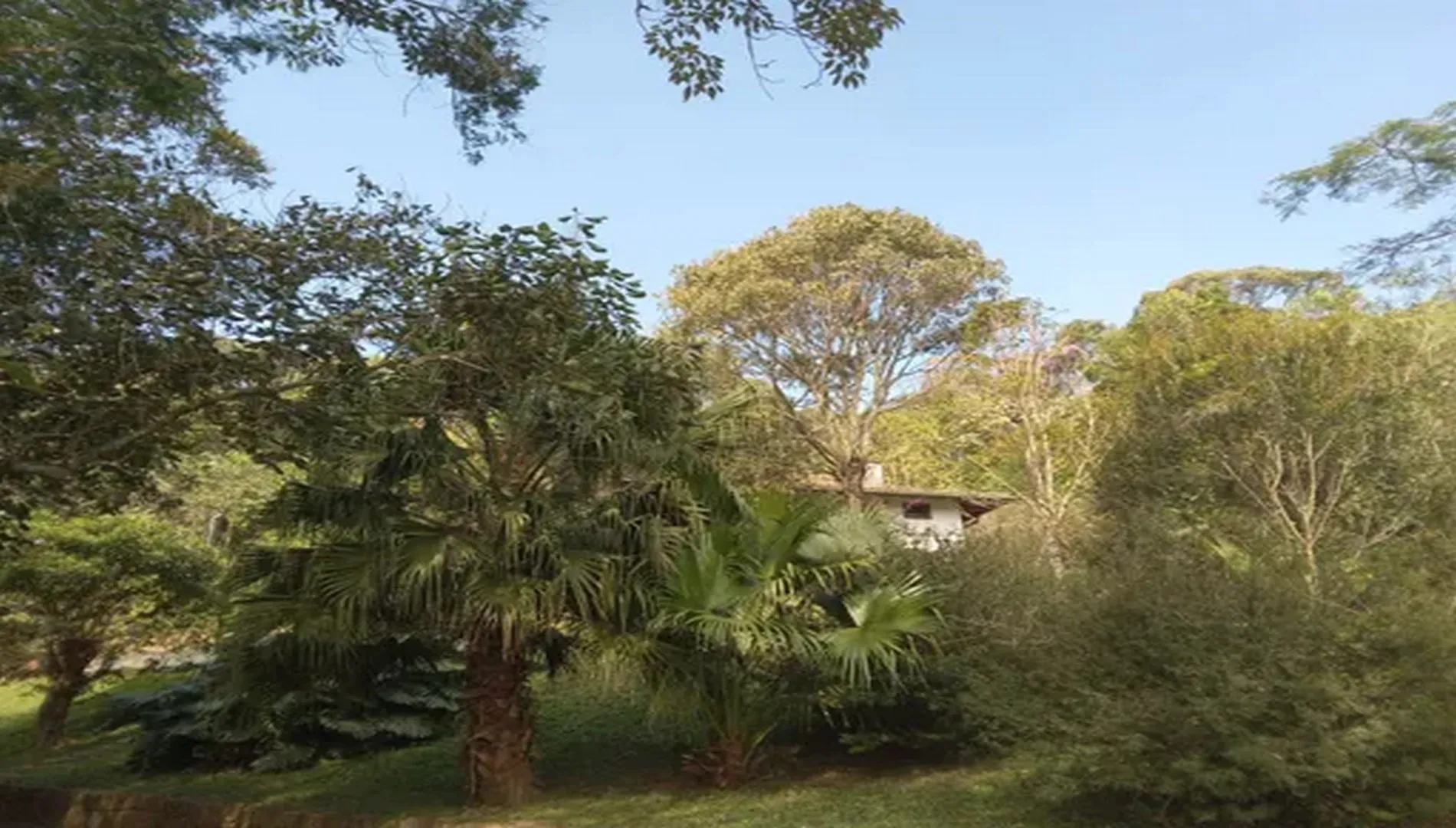 Imagem 42 do Sítio Nádia em Campo Limpo Paulista SP