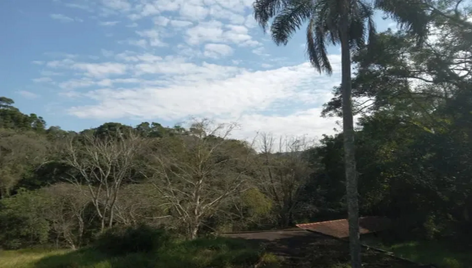 Imagem 8 do Sítio Nádia em Campo Limpo Paulista SP