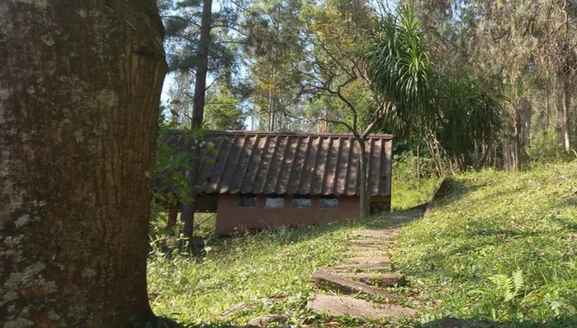 Imagem 9 do Sítio Nádia em Campo Limpo Paulista SP