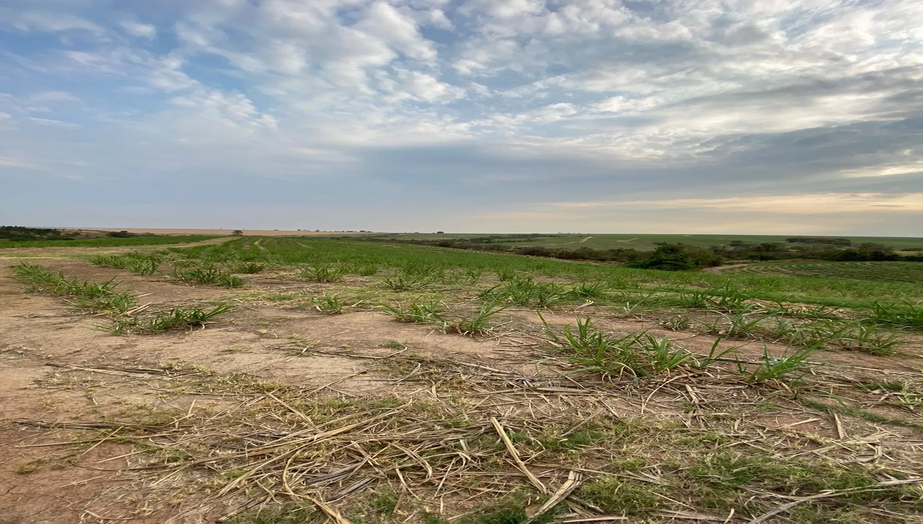 Imagem 19 do Sítio em Charqueada SP