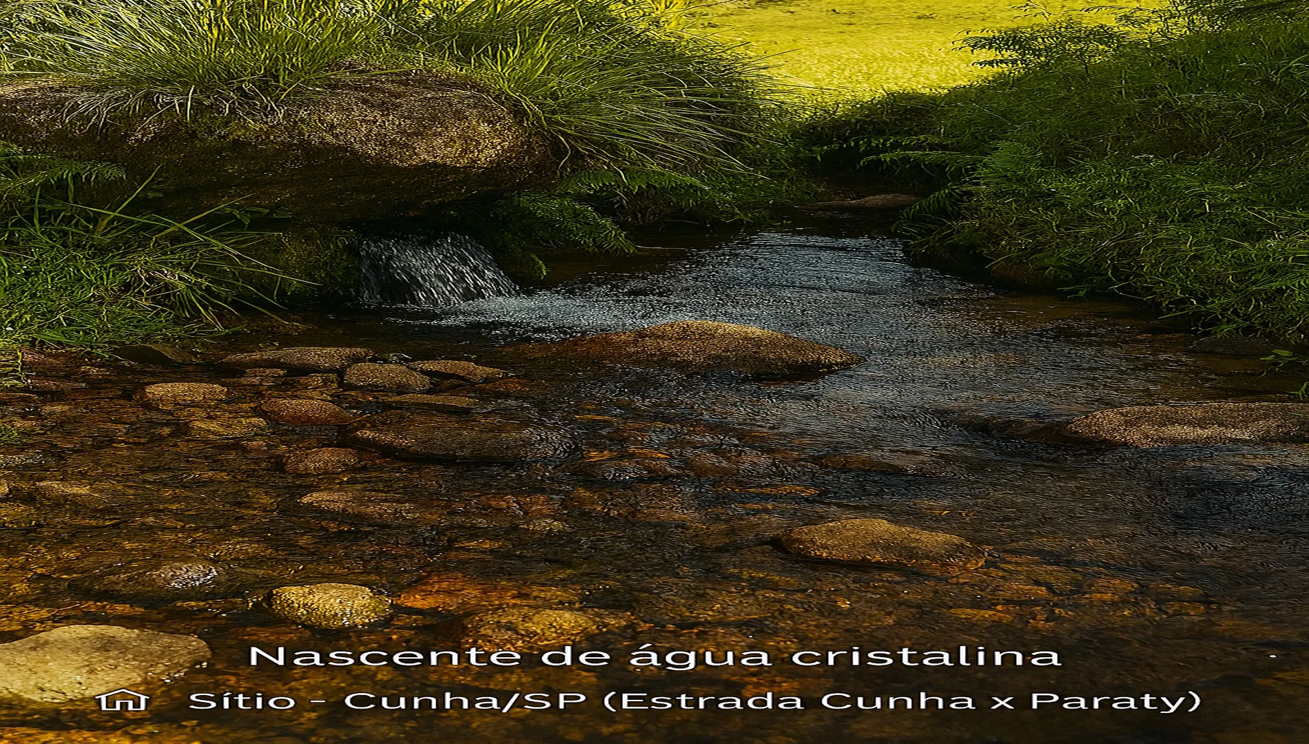 Imagem 4 do Sítio em Cunha/SP