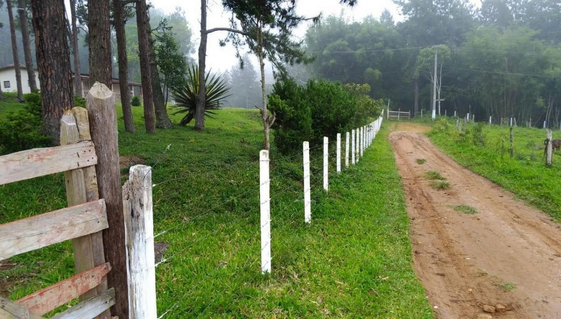 Imagem 11 do Sítio em Embu-Guaçu SP
