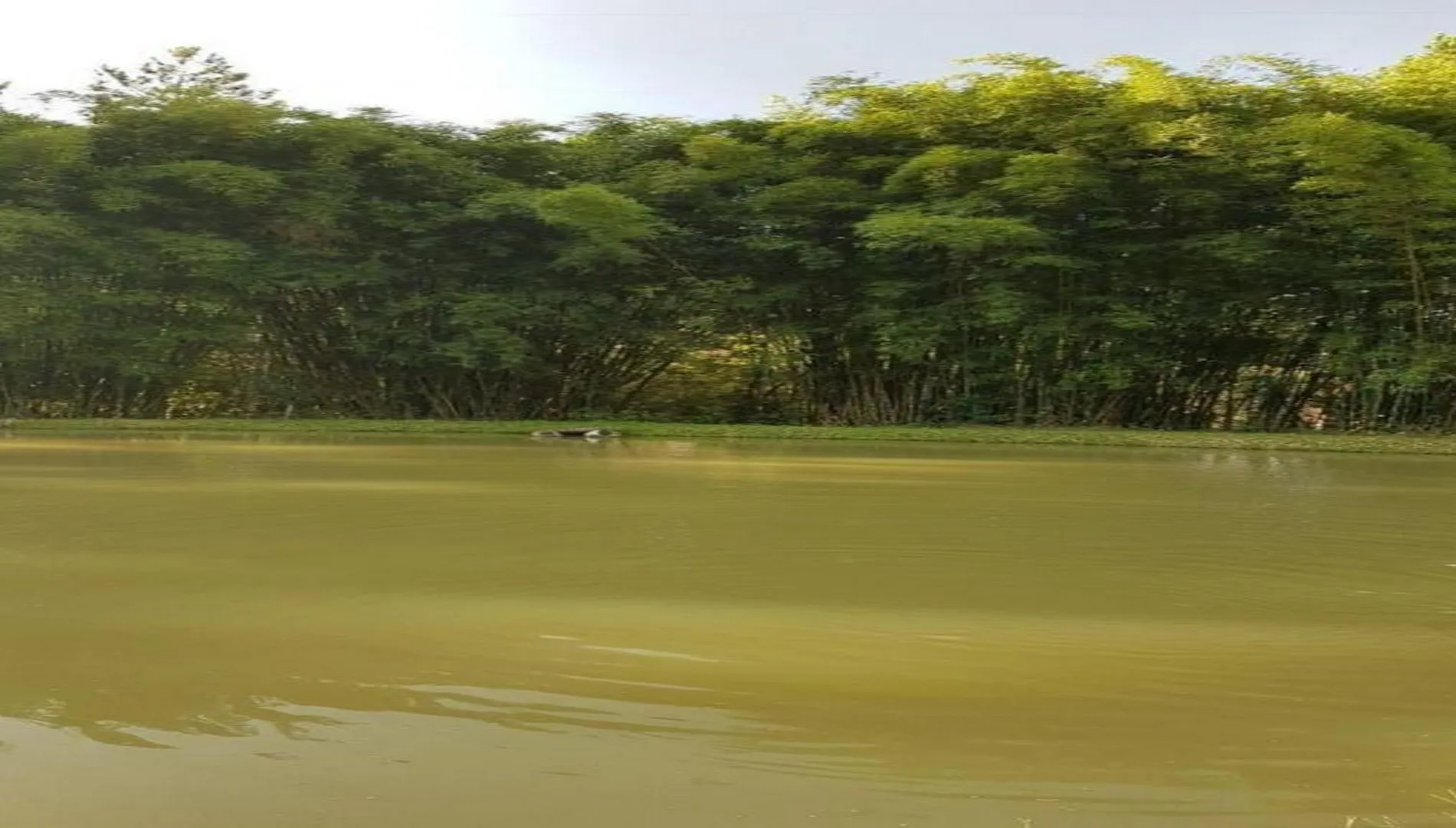 Imagem 12 do Sítio em Embu-Guaçu SP