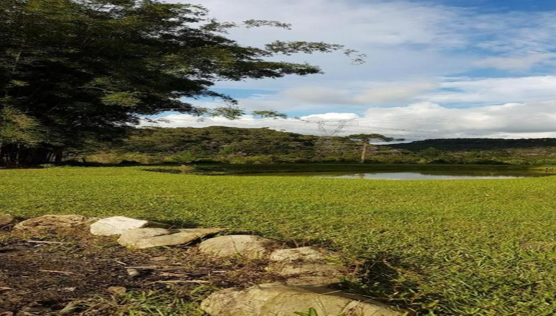 Imagem 3 do Sítio em Embu-Guaçu SP