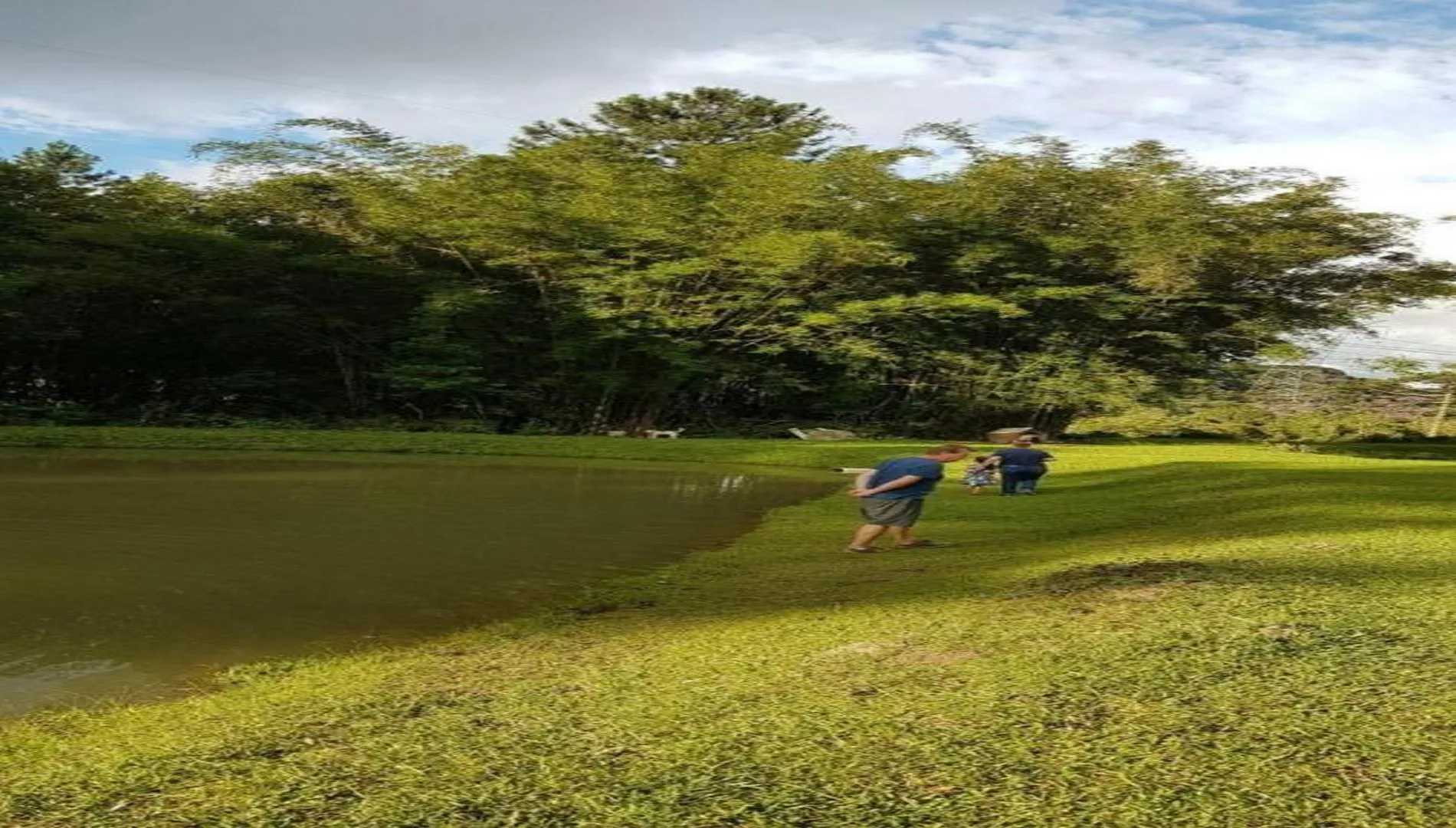 Imagem 8 do Sítio em Embu-Guaçu SP