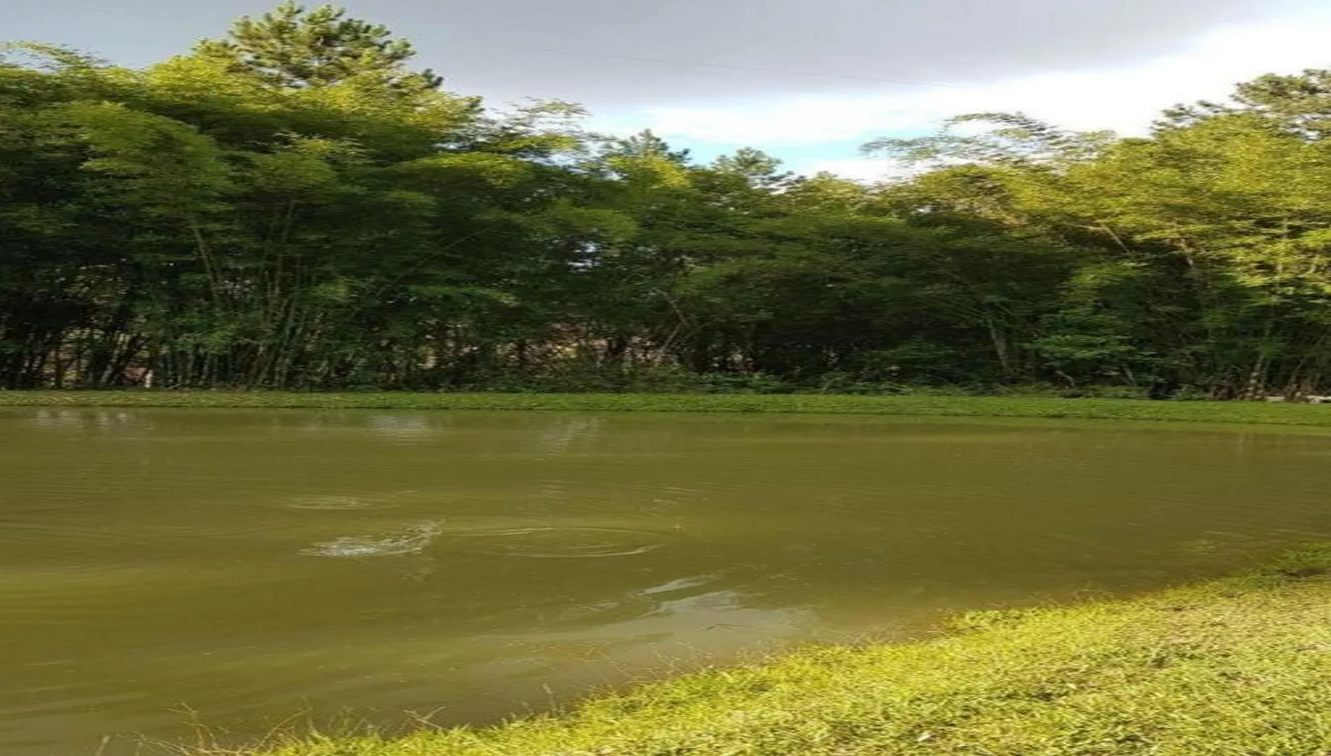 Imagem 9 do Sítio em Embu-Guaçu SP