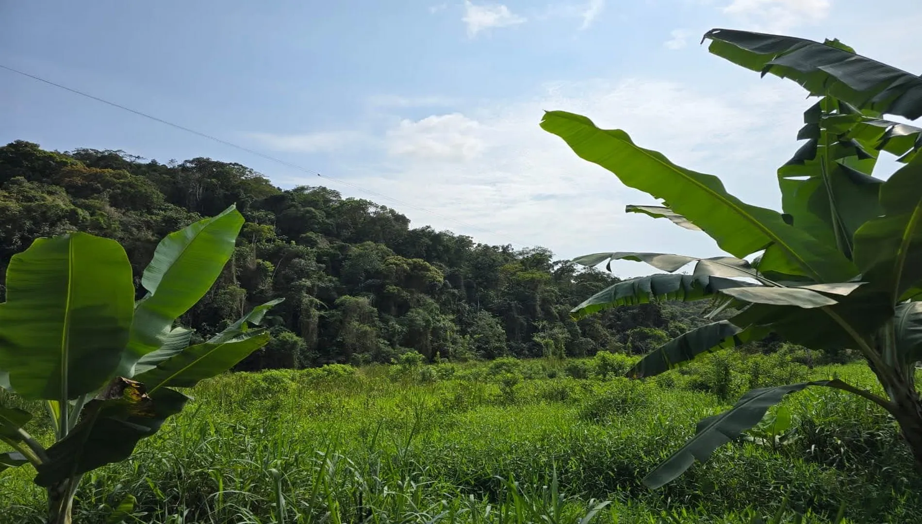 Imagem 4 do Sítio Horizonte – Miracatu SP