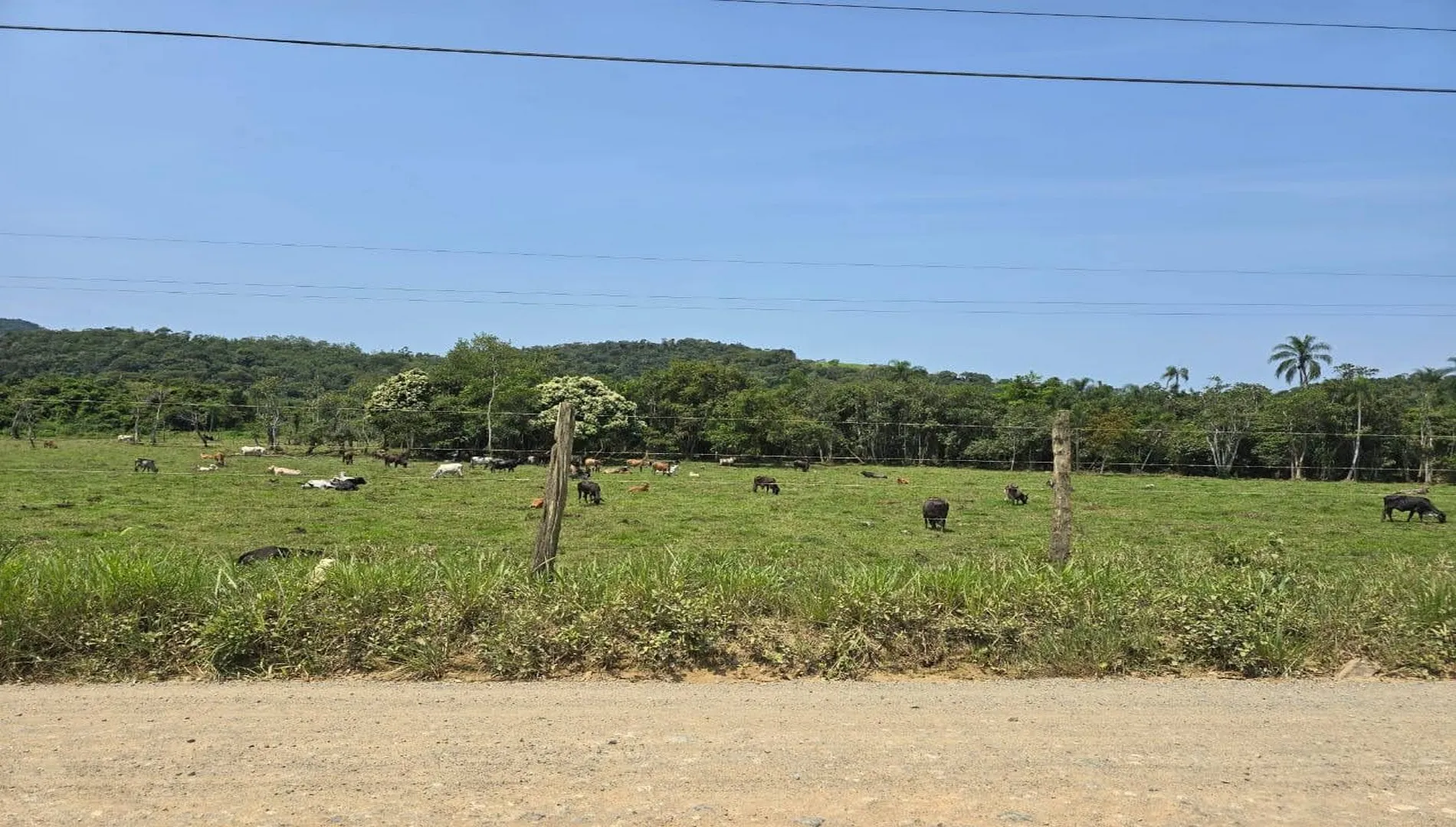 Imagem 6 do Sítio Horizonte – Miracatu SP