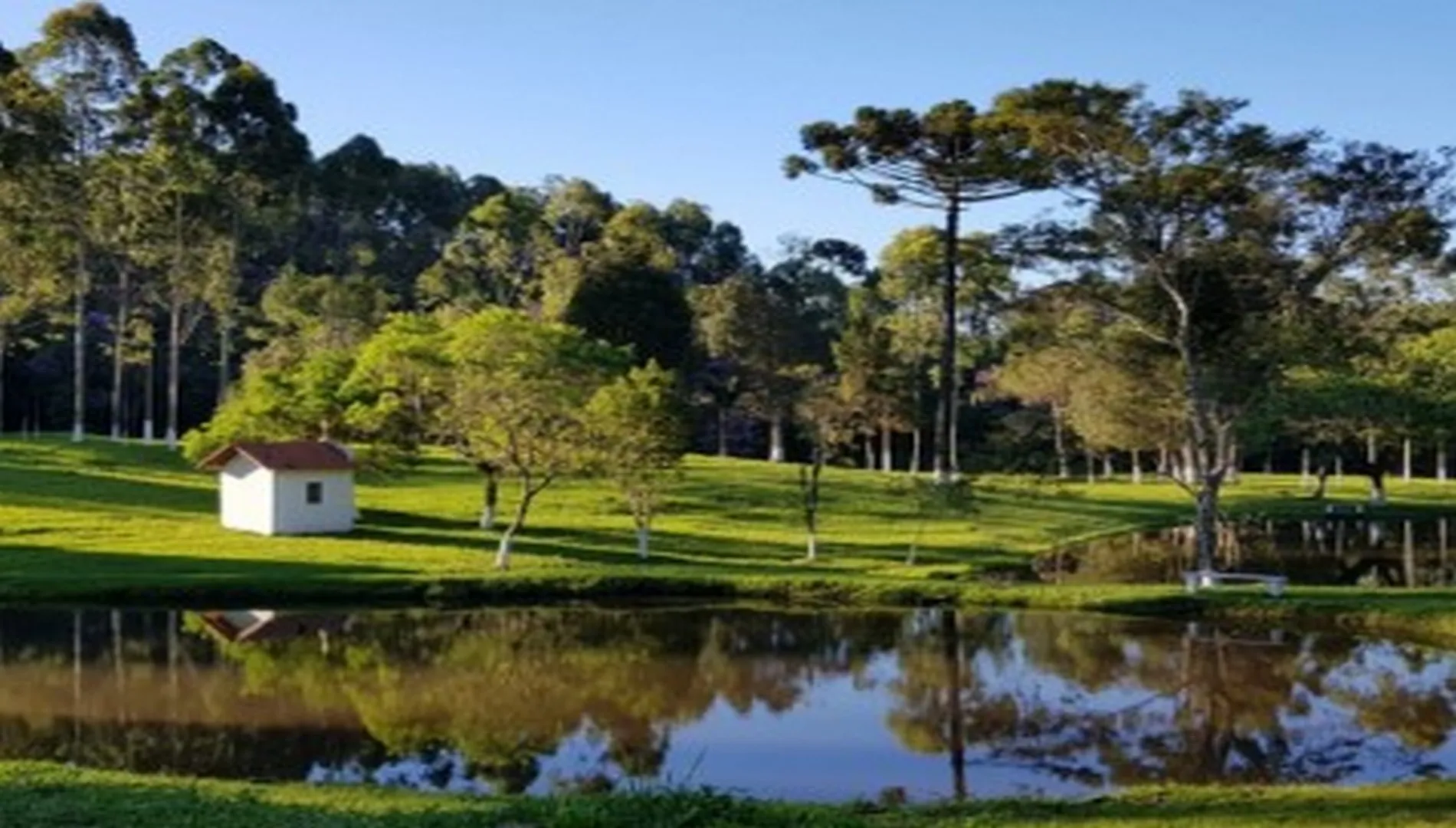 Sítio em Ibiúna SP - 170.000 m² com Lagos e Estrutura Rural