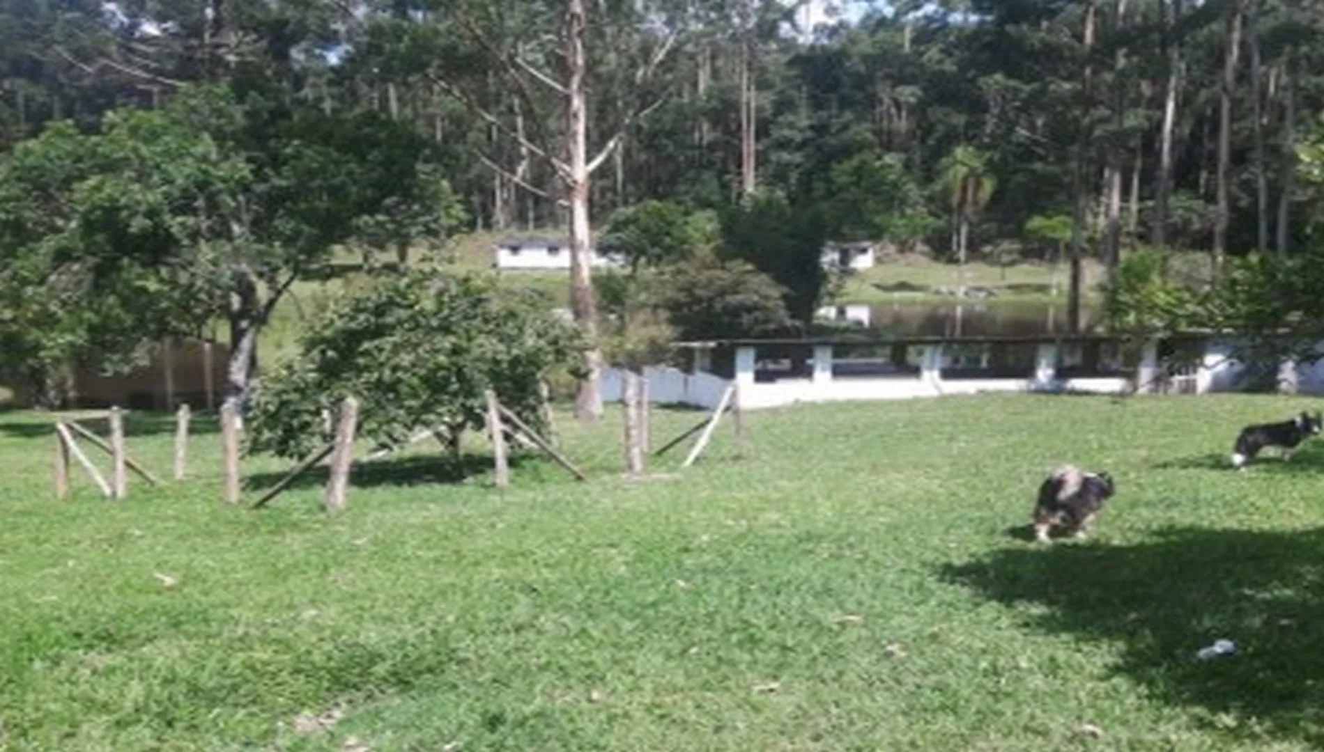 Imagem 10 do Sítio em Ibiúna SP