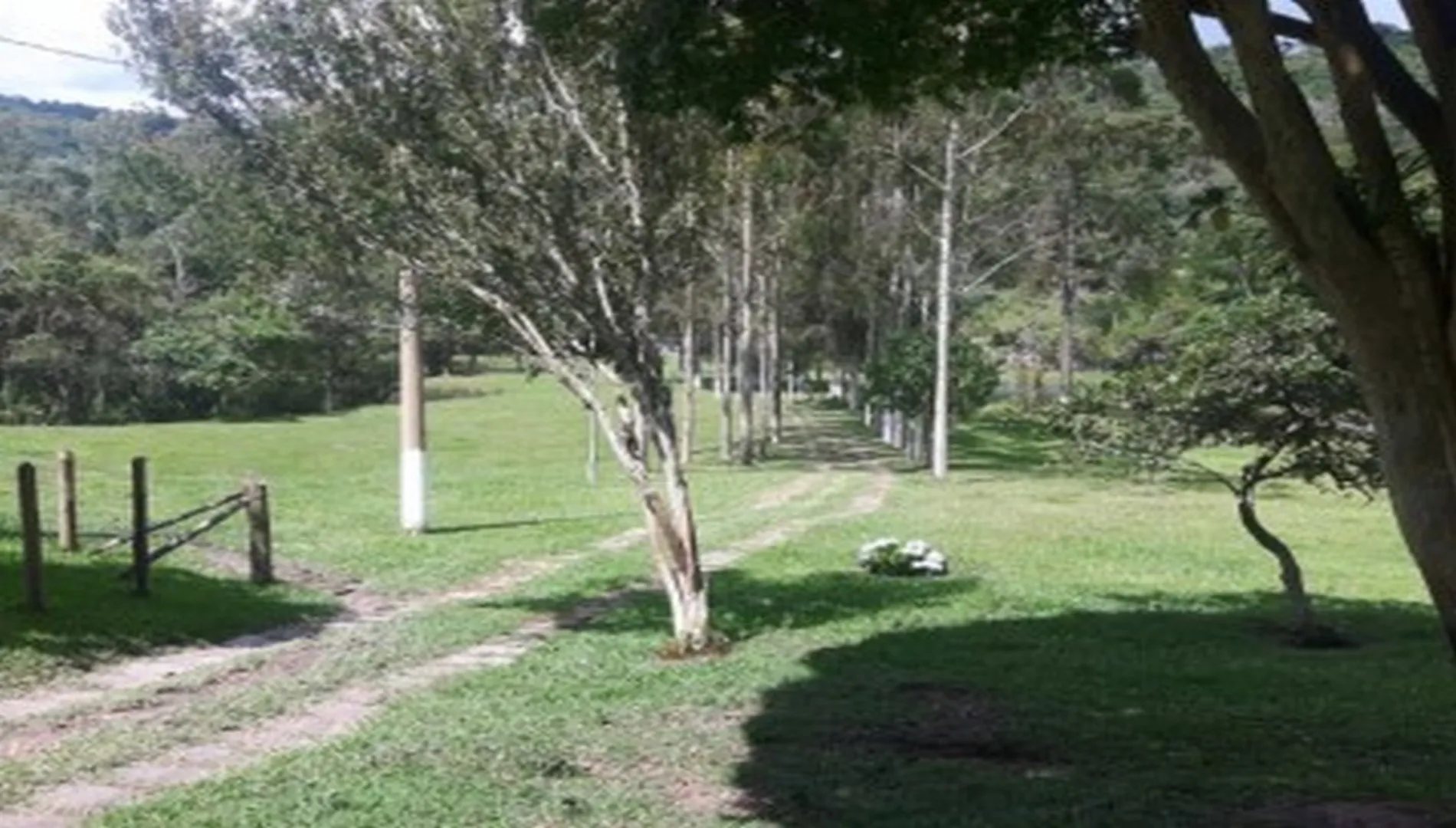 Imagem 11 do Sítio em Ibiúna SP