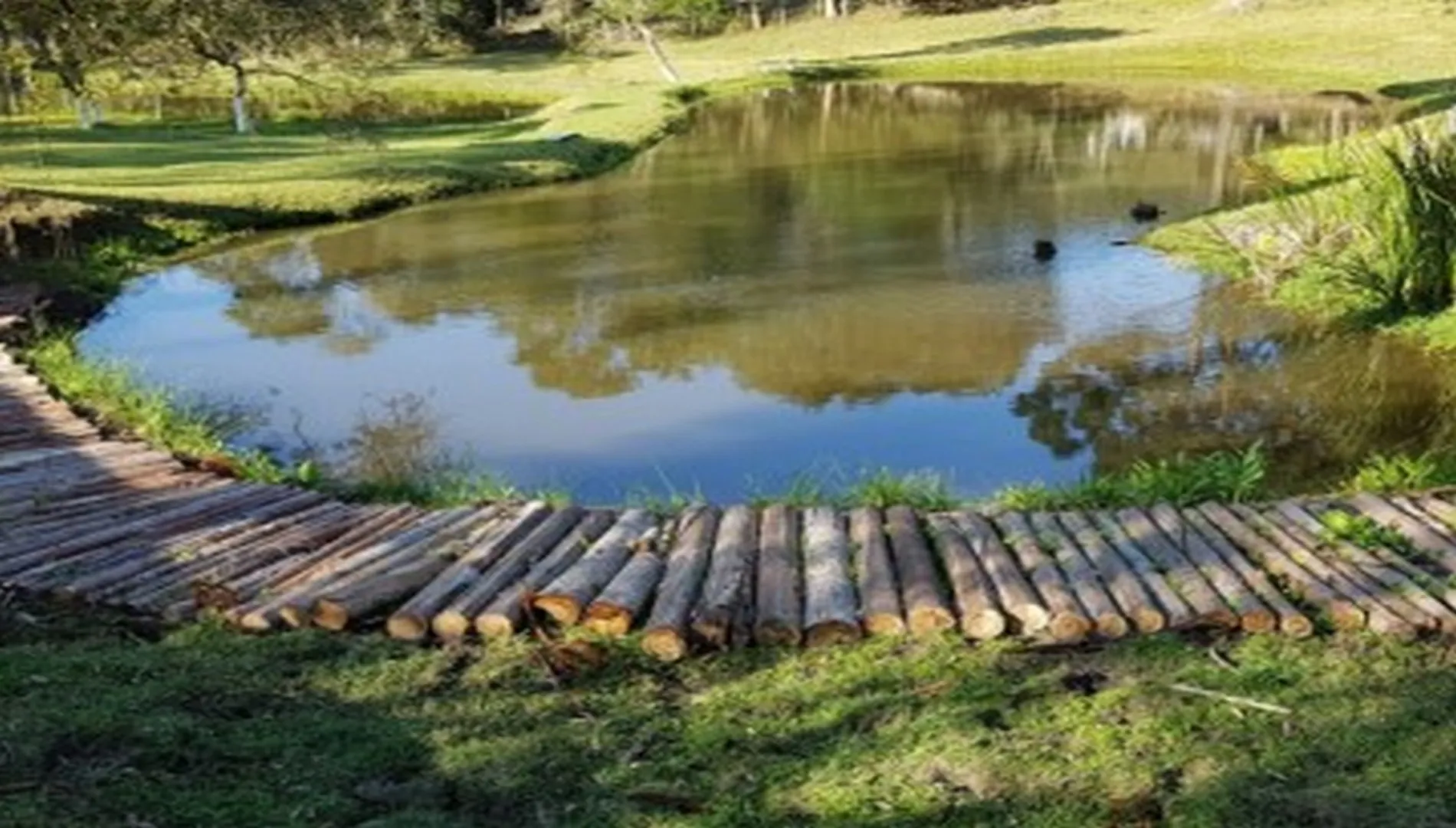 Imagem 13 do Sítio em Ibiúna SP