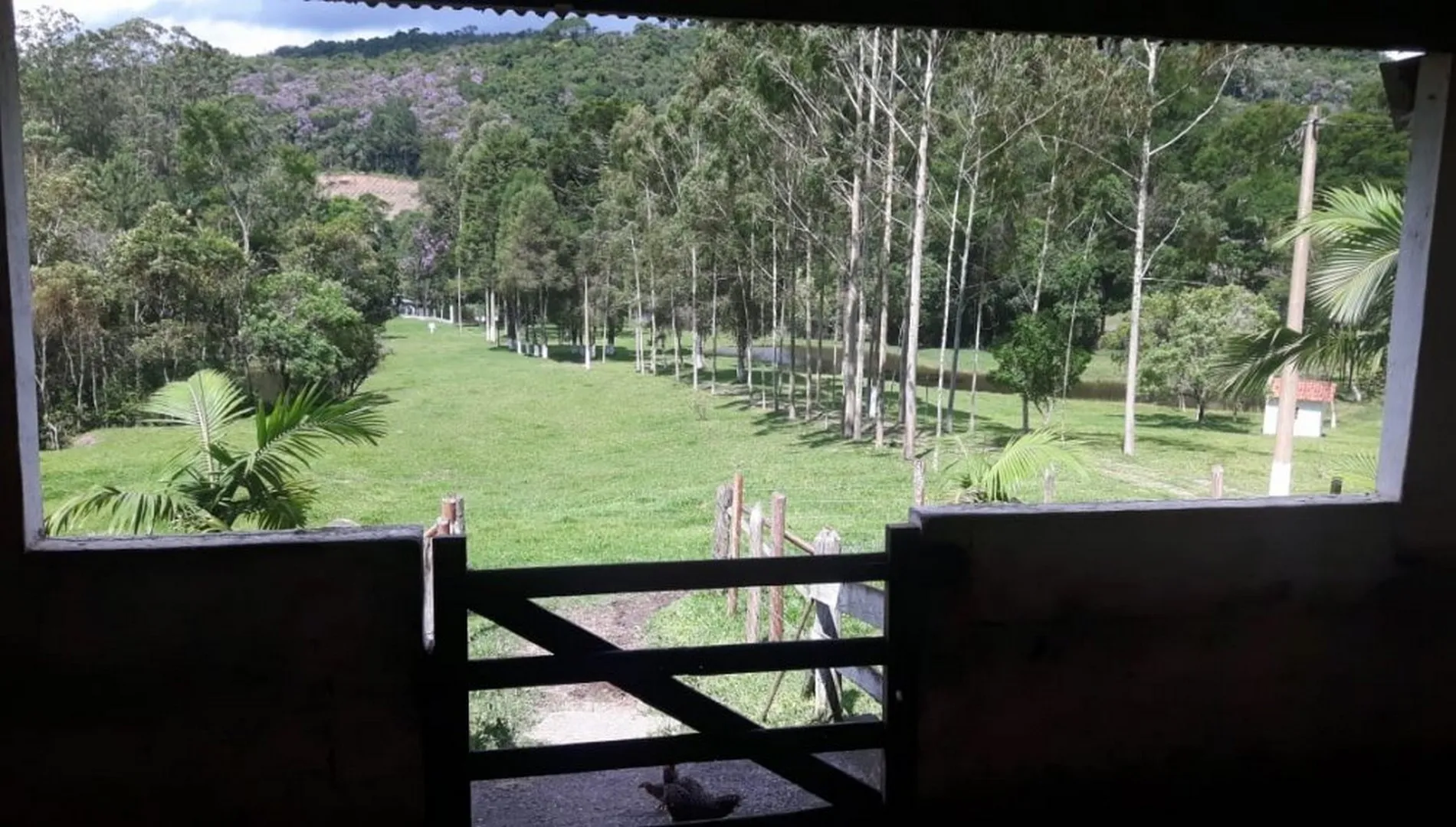 Imagem 2 do Sítio em Ibiúna SP