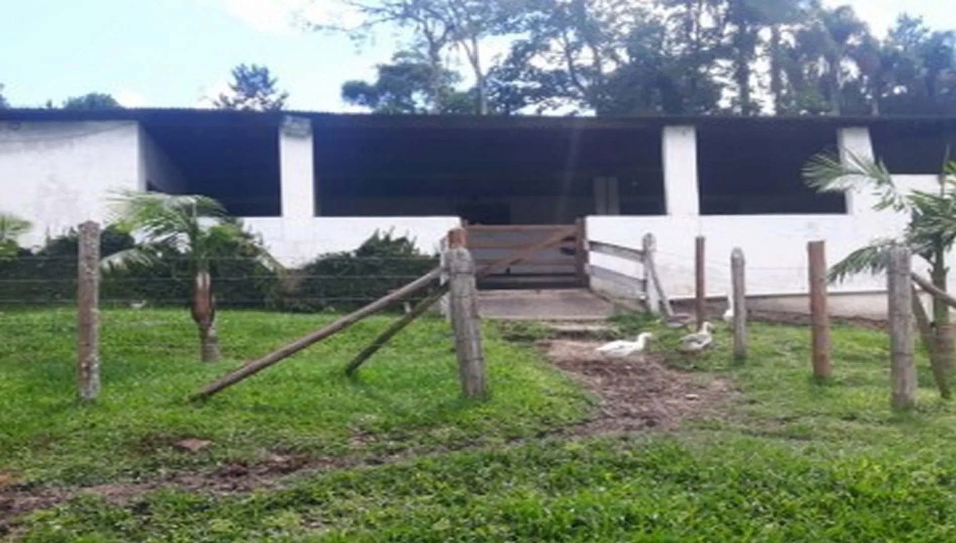 Imagem 4 do Sítio em Ibiúna SP