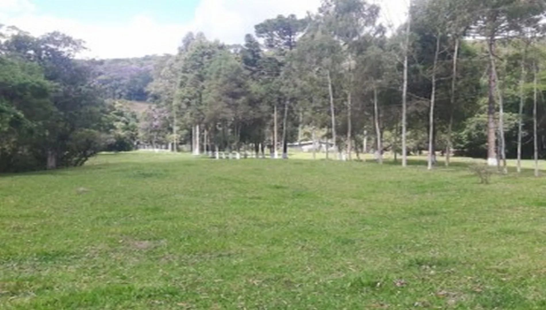 Imagem 5 do Sítio em Ibiúna SP