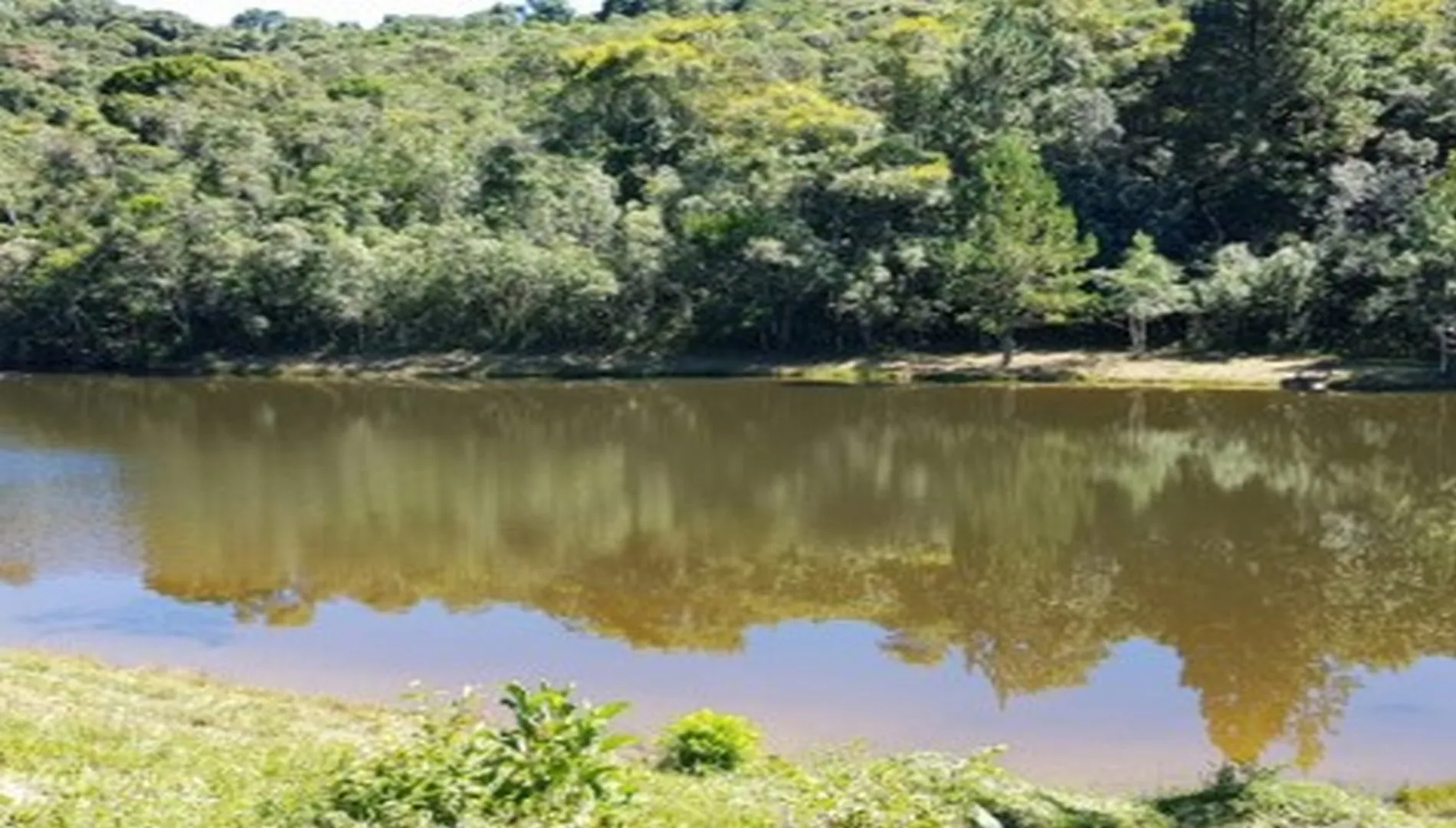 Imagem 6 do Sítio em Ibiúna SP